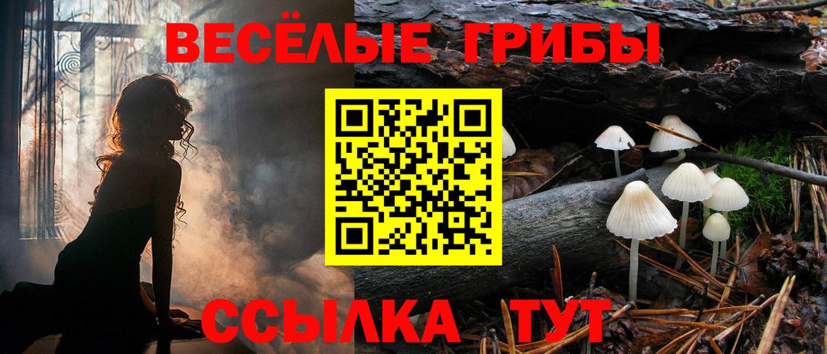 Псилоцибиновые грибы Psilocybine cubensis Благовещенск
