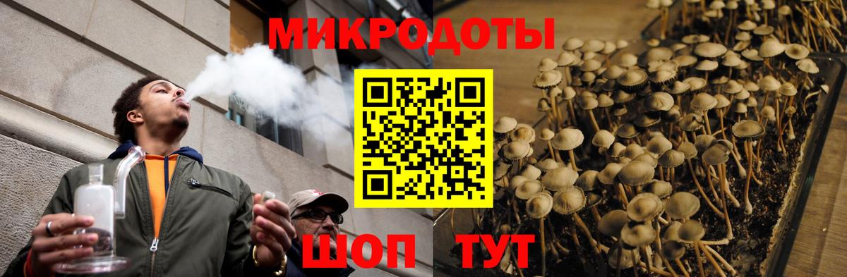 Благовещенск  Псилоцибиновые грибы мухоморы  Псилоцибиновые грибы Psilocybine cubensis  Вход с VPN 